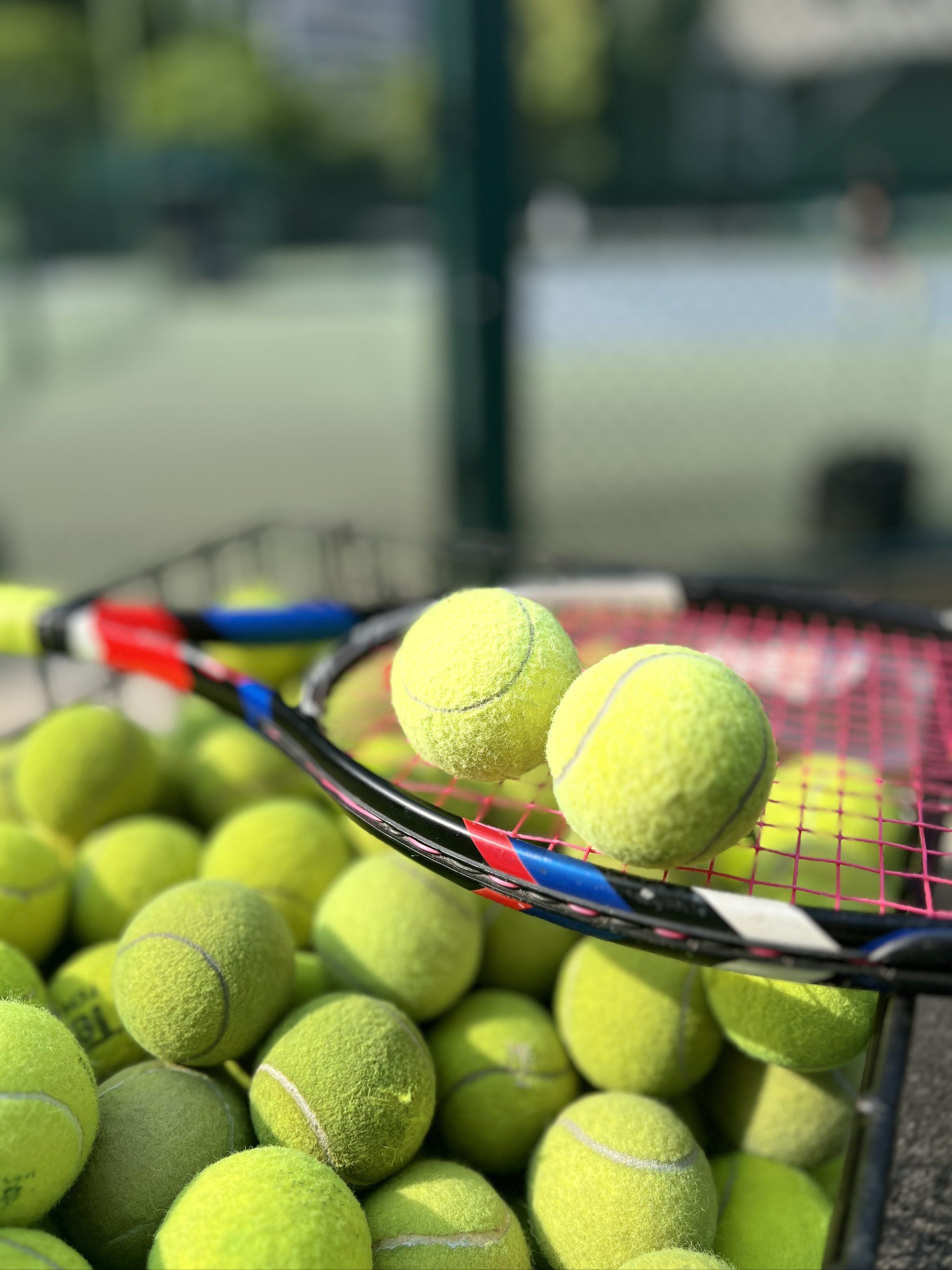 政策推动 政策推动