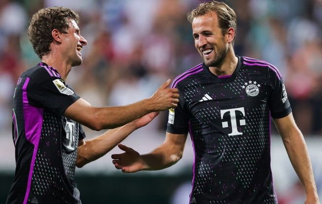 视野和判断 视野和判断