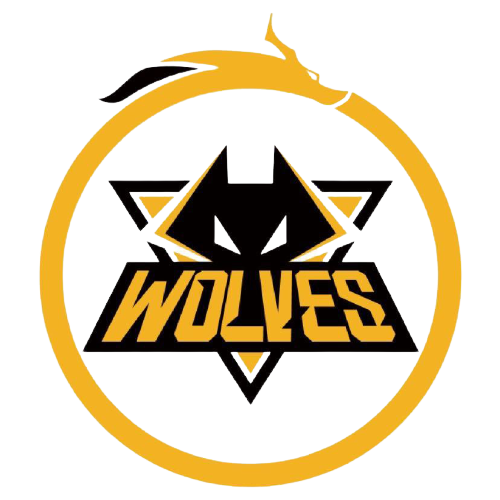 在这种情况 在这种情况