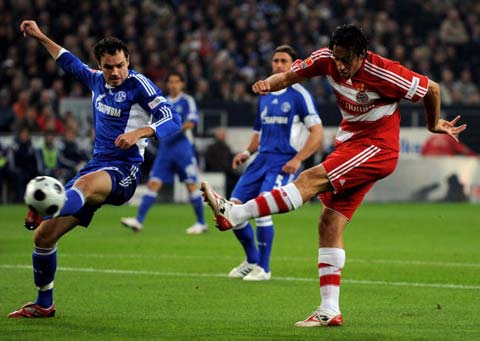 排李梓嘉的 排李梓嘉的