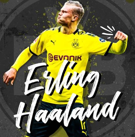 间内被摊薄 间内被摊薄