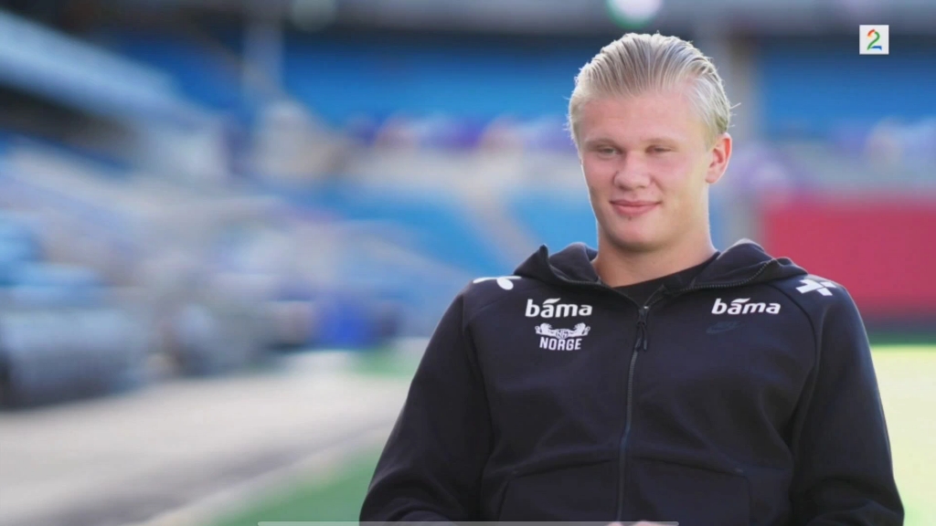 面板展示行 面板展示行